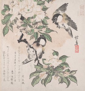 Spring Rain Koleksiyonu Harusame shu, vol. 3: Bataklık göğüsleri ve Yengeç Elma Çiçekleri, ca. ..., CA. 1820.