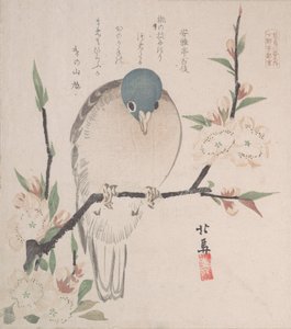 Spring Rain Koleksiyonu Harusame shu, vol. 3: Dağ Güvercini ve Şeftali Çiçekleri, ca. 1820., yaklaşık 1820.