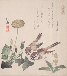 Spring Rain Koleksiyonu Harusame shu, vol. 3: Serçeler ve Karahindibalar, ca. 1820., yaklaşık 1820.
