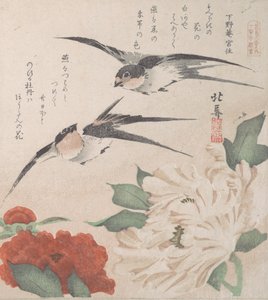 Spring Rain Koleksiyonu Harusame shu, vol. 3: Kırlangıçlar ve Şakayıklar, ca. 1820., yaklaşık 1820.
