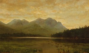  by Homer Dodge Martin