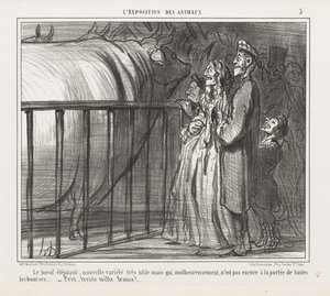 Hayvanların Sergilenmesi : Pl. 5, İnek-Fil, Yeni Çeşit.... by Honoré Daumier