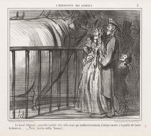 Hayvanların Sergisi: İnek-Fil, Yeni Çeşit by Honoré Daumier