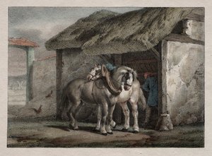 çiftlik atı by Emile Jean Horace Vernet