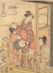 Uzun Kuyruklu Bir Kanatlı Onagadori, Twelve Assorted Birds serisinden Shocho junikin..., ca. 1791.