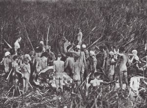 Afrika: Nuer avcıları fil cesediyle birlikte (b/w fotoğraf) by Hugo Adolf Bernatzik