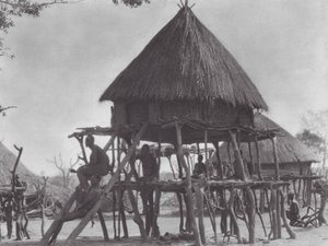 Afrika: Doğu Djur