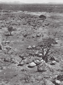 Afrika: Talodi Dağı