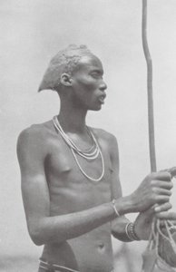 Dinka-Neger (siyah-beyaz fotoğraf) by Hugo Adolf Bernatzik