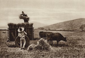 Meksika: Buğday hasadı yapan çiftçiler (b/w fotoğraf) by Hugo Brehme