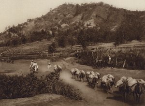 Meksika: Ülkenin iç kesimlerindeki ulaşım merkezi (b/w fotoğraf) by Hugo Brehme