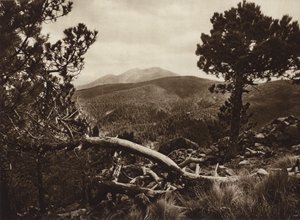 Meksika: El Ajusco, San Miguel