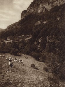 Meksika: La Canada, Contreras, D F (b/w fotoğraf) by Hugo Brehme