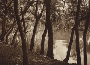  by Hugo Brehme