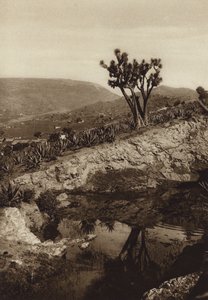 Meksika: Toluca çevresi (b/w fotoğraf) by Hugo Brehme