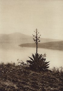  by Hugo Brehme