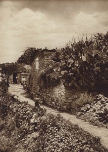 Meksika: San Angel D F