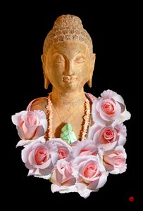 BUDA by Hugo Nefe