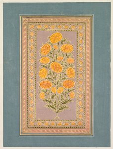 Çiçekli Kadife çiçeği, c. 1765. by Hunhar II