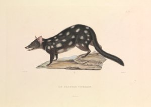  by Hyacinthe Yves Philippe (1781 1846) Potentien