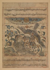 Bir Çift Kartal, Bir Manafi