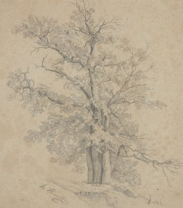 Ağaç by Ida Weisselberg Hadra