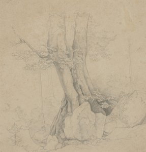 Ağaç ve Kaya by Ida Weisselberg Hadra