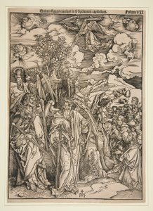 Durer