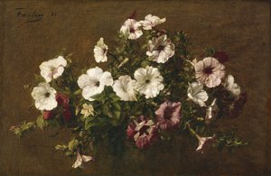 Petunyalar, 1881 by Ignace Henri Jean Fantin Latour