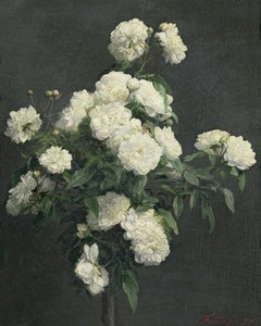 Beyaz Şakayık Natürmort, 1870