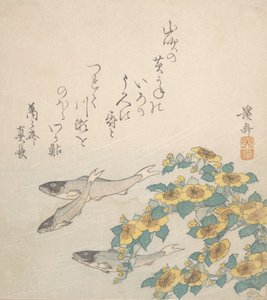 Sarı Çiçeklerle Yüzen Balıklar, yak. 1830. by Ikeda Eisen