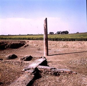 İmparator Ashoka Sütunu (MÖ 264-223 civarı) Mauryan (fotoğraf) (ayrıca bkz. 162926) by Indian