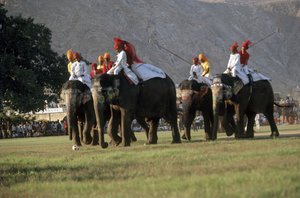 Fil polosu oynayan erkekler (fotoğraf)