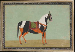 Bir At, Albüm folyosu, 19. yüzyıl (kağıt üzerinde opak suluboya ve altın) by Indian School