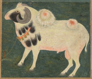 Altın zincirli bir kraliyet koçu, c. 1585 (kağıt üzerine opak suluboya ve altın) by Indian School