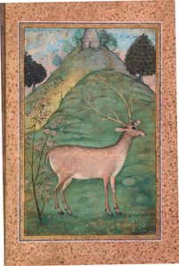 Buck in a Landscape, c.1595 (kağıt üzerinde opak wc ve altın) by Indian School