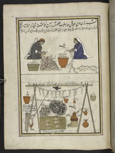 Balıkçılar, Balıkları içen kadınlar; balık kurutan adam,  Keşmir