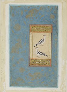 Hoopoes, c.1590 (kağıt üzerinde opak wc ve altın) by Indian School