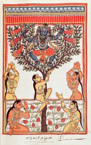 Krishna, Yamuna Nehri