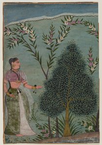 Vahşi doğada kadın, Bhagavata Purana serisinden bir sayfanın parçası, c.1590-1600 (kağıt üzerinde wc ve altın) by Indian School