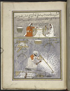 Pamuk çırçırlayan iki kadın; adam pamuk tarama,  Keşmir