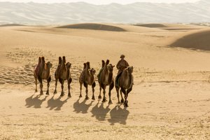 Güney Gobi Çölü, Moğolistan