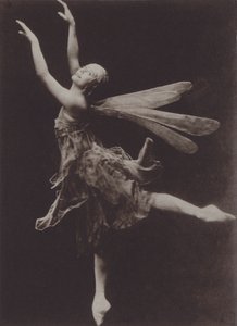 Dragon Fly'daki Pavlova by Ira L. Hill