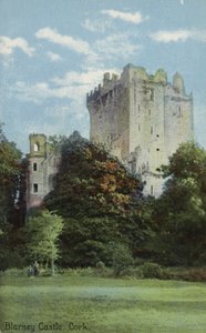 Blarney Kalesi, Cork by Irish Photographer