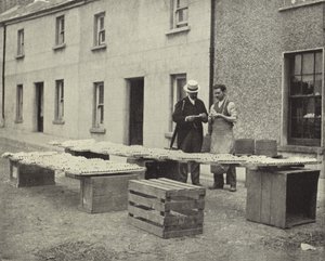 Kil Boru Yapımı, Drogheda (s/b fotoğraf) by Irish Photographer