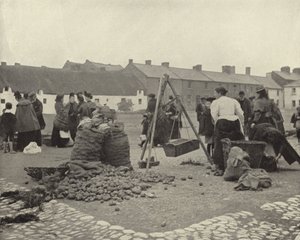 Patates Pazarı, Drogheda (s/b fotoğraf) by Irish Photographer