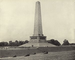 Wellington Tanıklığı, Phoenix Park (s/b fotoğraf) by Irish Photographer