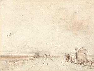 sohbet yosunu