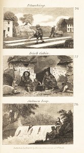 Regency Ireland