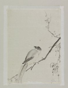 Kiraz ağacının dalında kuş by Ishikawa Kazan